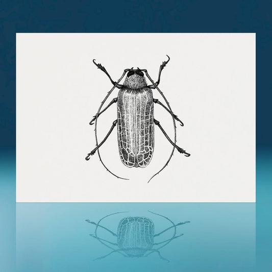 Huhu Beetle Art Print