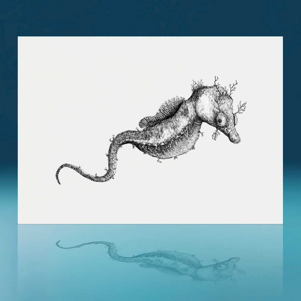 Manaia Pygmy Pipehorse Art Print