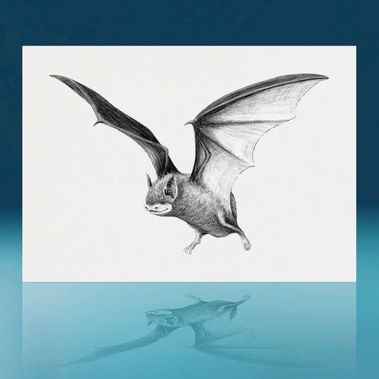 Pekapeka Bat Art Print