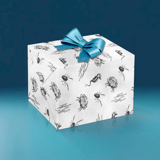 sea critters wrapping paper