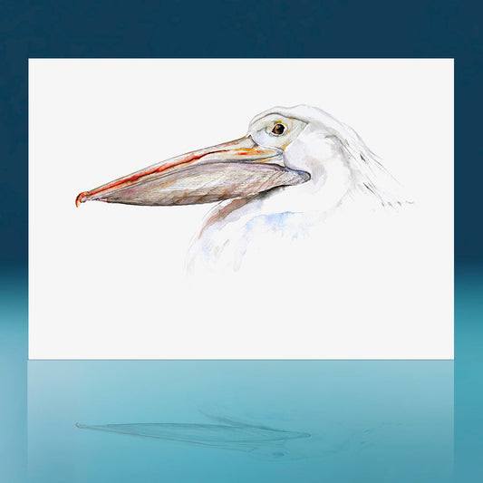 Pelican Art Print