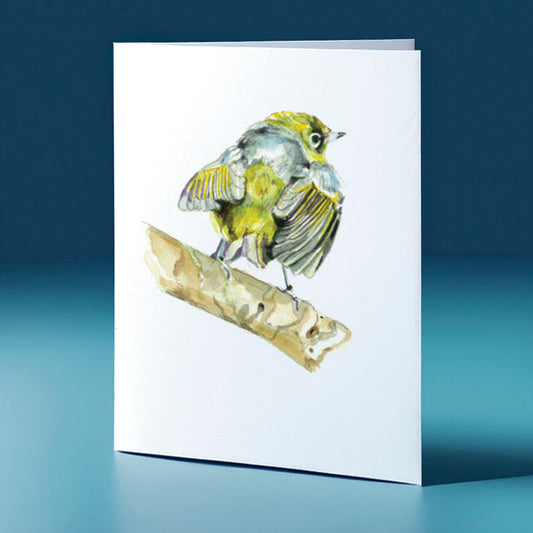 silver eye 2 water colour bird themed greeting card
