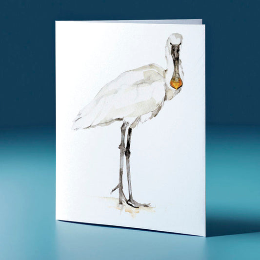 spoonbill water colour bird themed greeting card