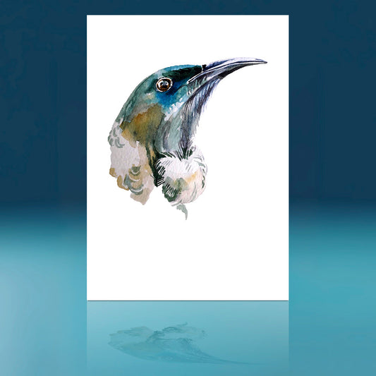 Tui Art Print