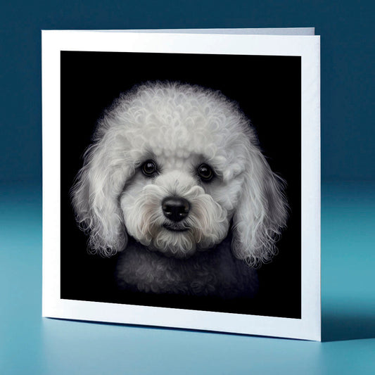 Bichon Frise - dog themed greeting card