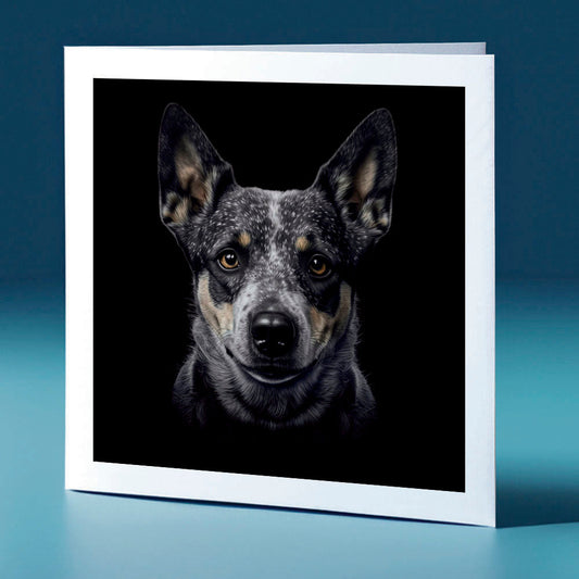 Blue Heeler Front Facing - dog themed greeting card