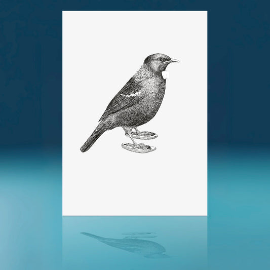 Jandals Tui Art Print