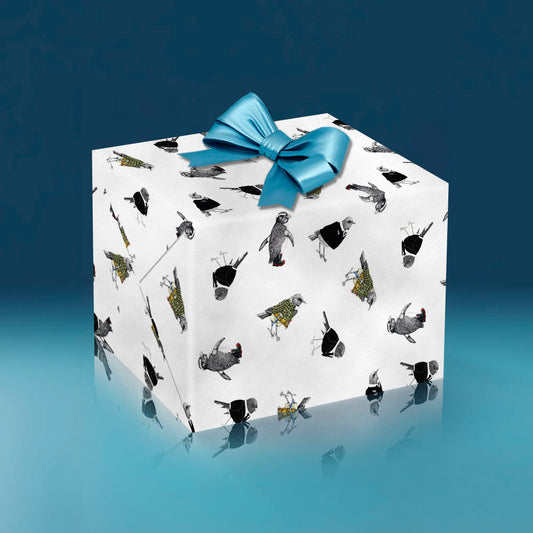birds for blokes wrapping paper