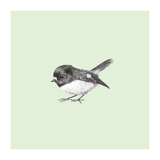 miromiro pastel bird themed greeting card