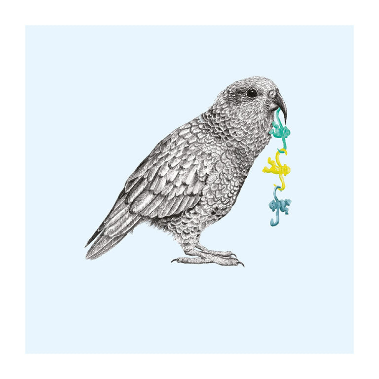 monkeys kea pastel bird themed greeting card