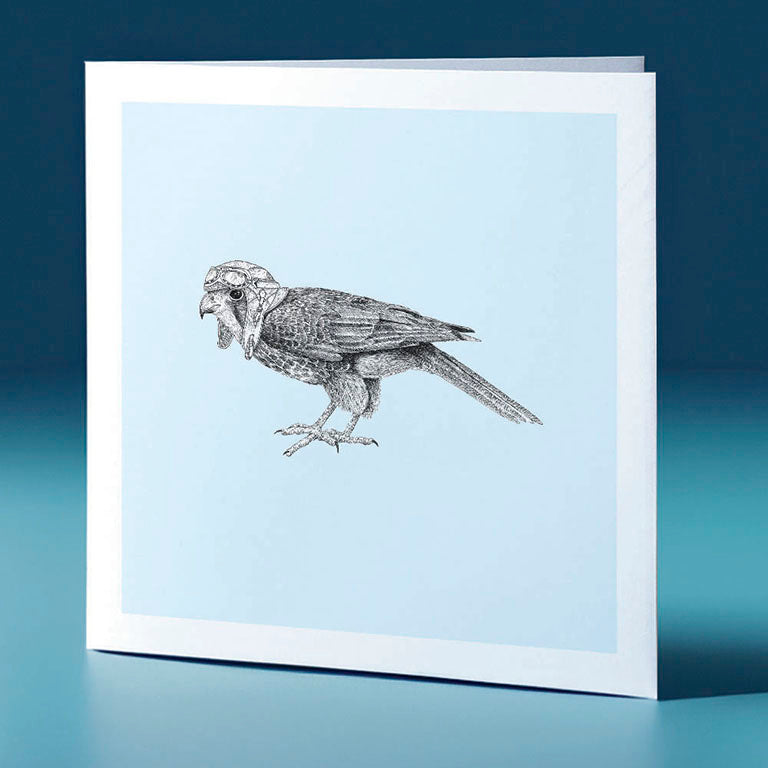 pilot karearea pastel bird themed greeting card