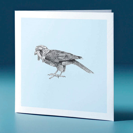 pilot karearea pastel bird themed greeting card