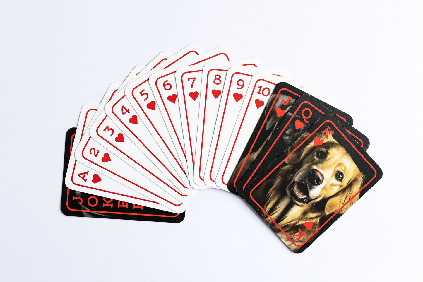 Working Dogs Playing Cards