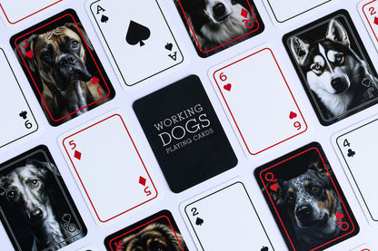 Working Dogs Playing Cards