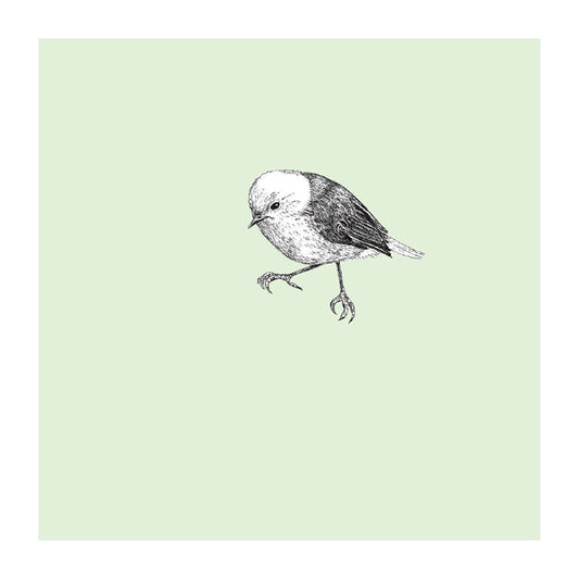 popokotea pastel bird themed greeting card