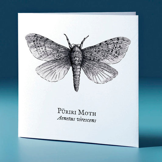 puriri moth critter themed greeting card