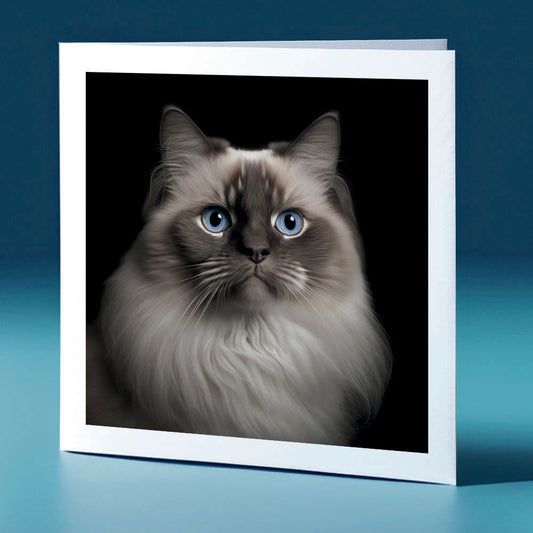 Ragdoll - cat themed greeting card