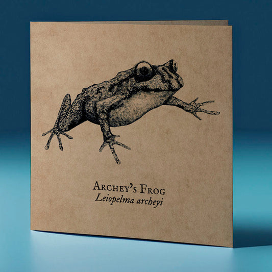 archeys frog critter themed greeting card