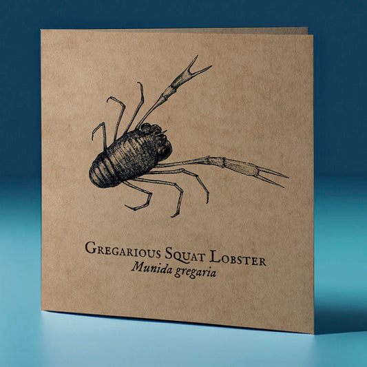 gregarious squat lobster critter themed greeting card