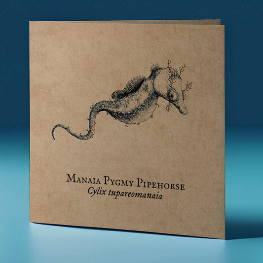 manaia pygmy pipehorse critter themed greeting card