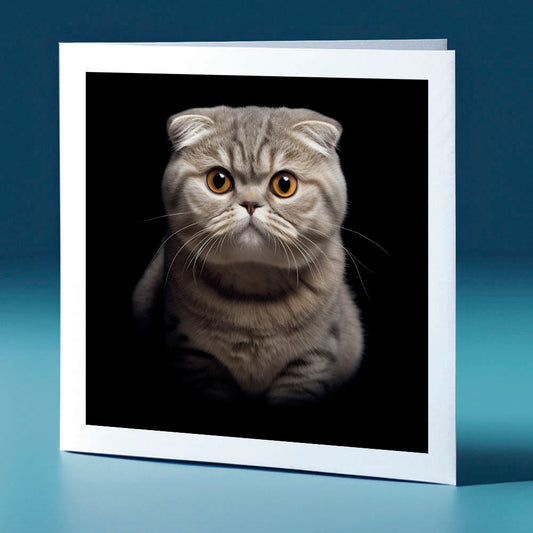 Scottish fold - cat themed greeting card