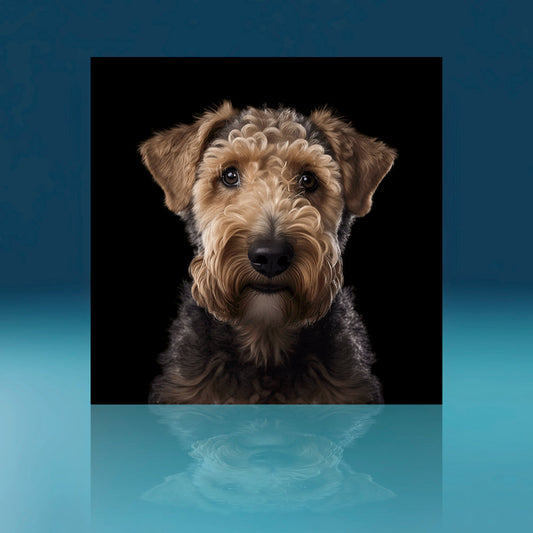 Airedoodle Dog Art Print
