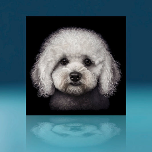 Bichon Frise Dog Art Print