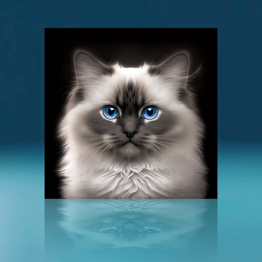 Charcoal Birman Cat Art Print