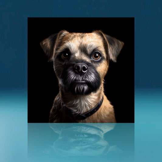 Large Border Terrier Dog Art Print