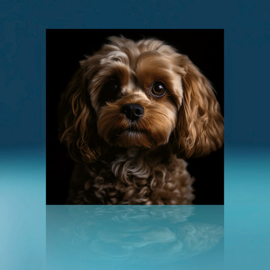Rusty Cavapoo Dog Art Print