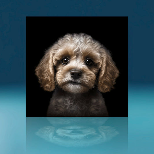 Cream Cavoodle Dog Art Print