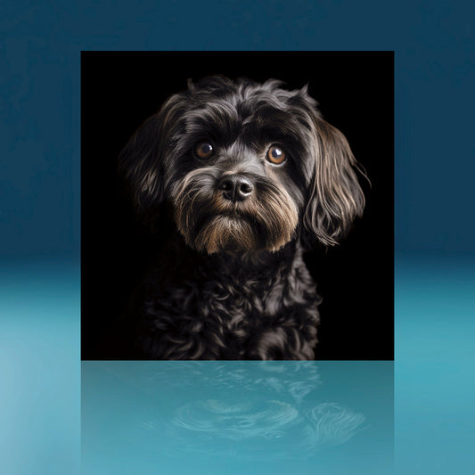 Black Cockerpoo Dog Art Print