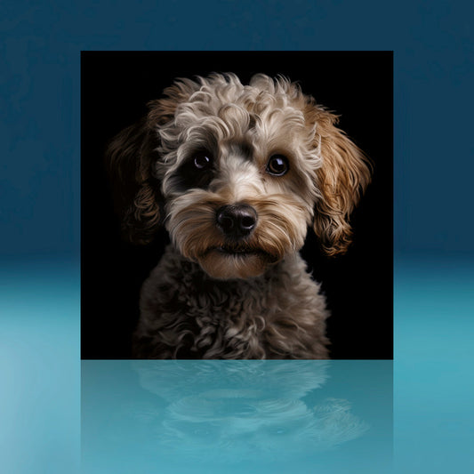 Cream Cockerpoo Dog Art Print