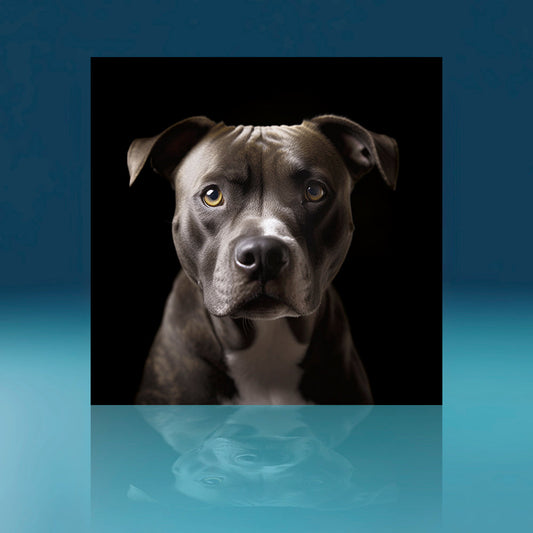 Chocolate Pitbull Dog Art Print