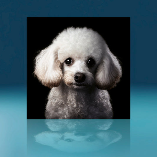 Poodle Dog Art Print