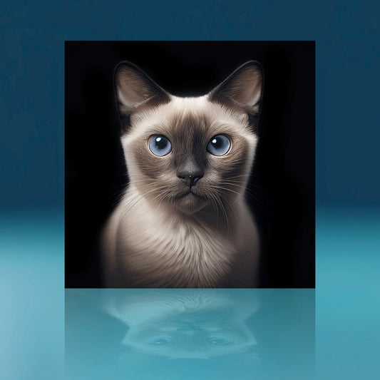 Siamese Cat Art Print