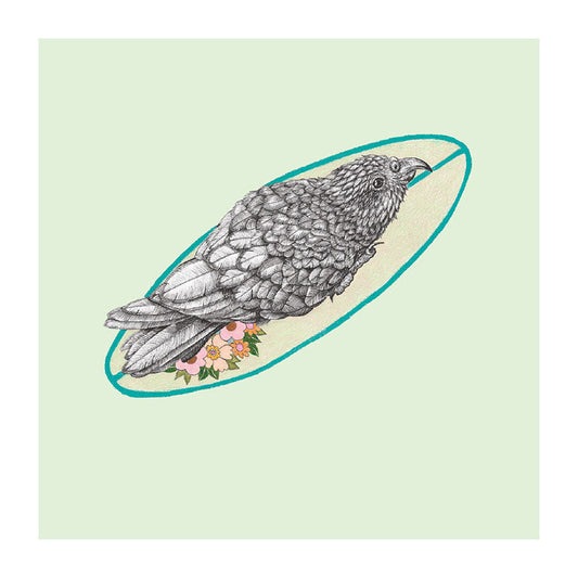 surfboard kea pastel bird themed greeting card