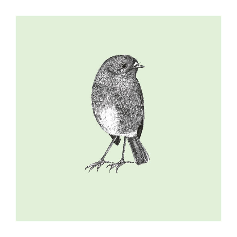 toutouwai pastel bird themed greeting card