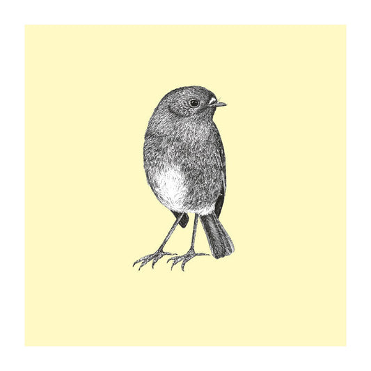 toutouwai pastel bird themed greeting card
