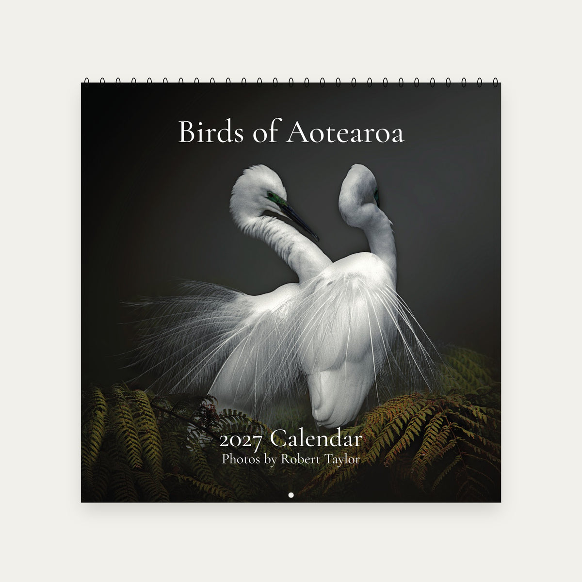 Birds of Aotearoa 2027 Calendar