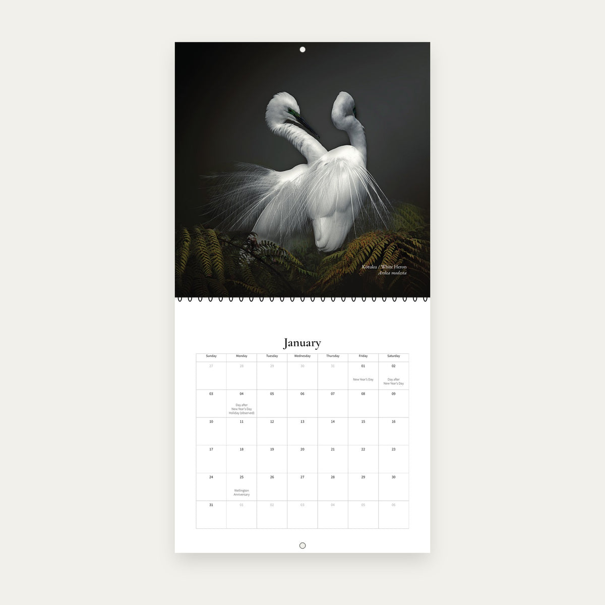 Birds of Aotearoa 2027 Calendar