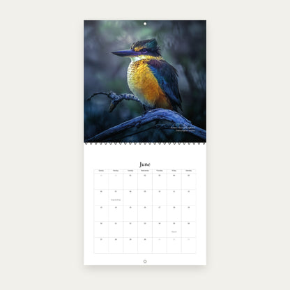 Birds of Aotearoa 2027 Calendar